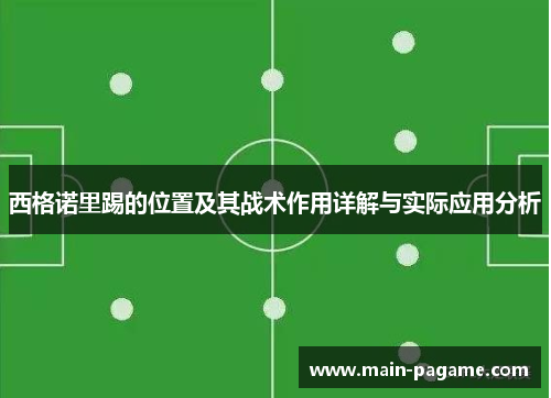 西格诺里踢的位置及其战术作用详解与实际应用分析
